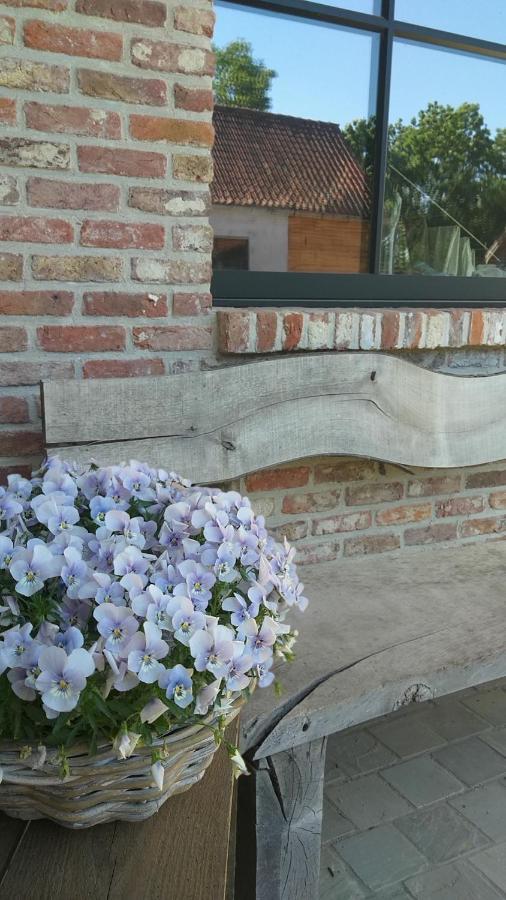 Vila Muntershof Velzeke-Ruddershove Exteriér fotografie