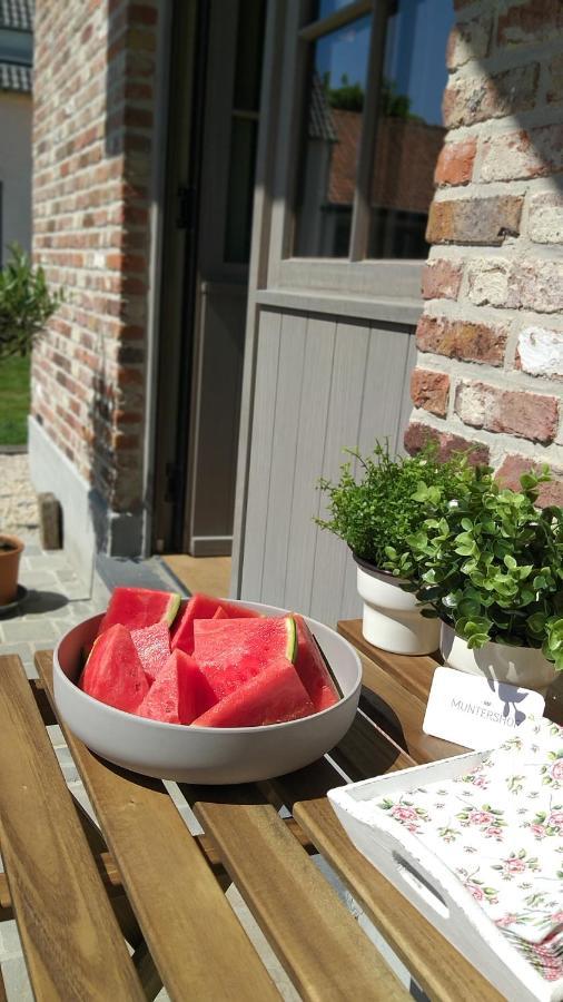 Vila Muntershof Velzeke-Ruddershove Exteriér fotografie