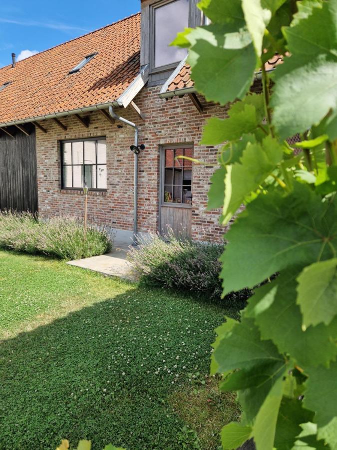 Vila Muntershof Velzeke-Ruddershove Exteriér fotografie