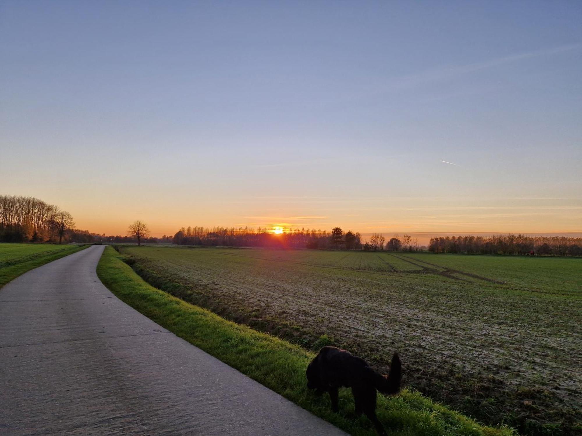 Vila Muntershof Velzeke-Ruddershove Exteriér fotografie